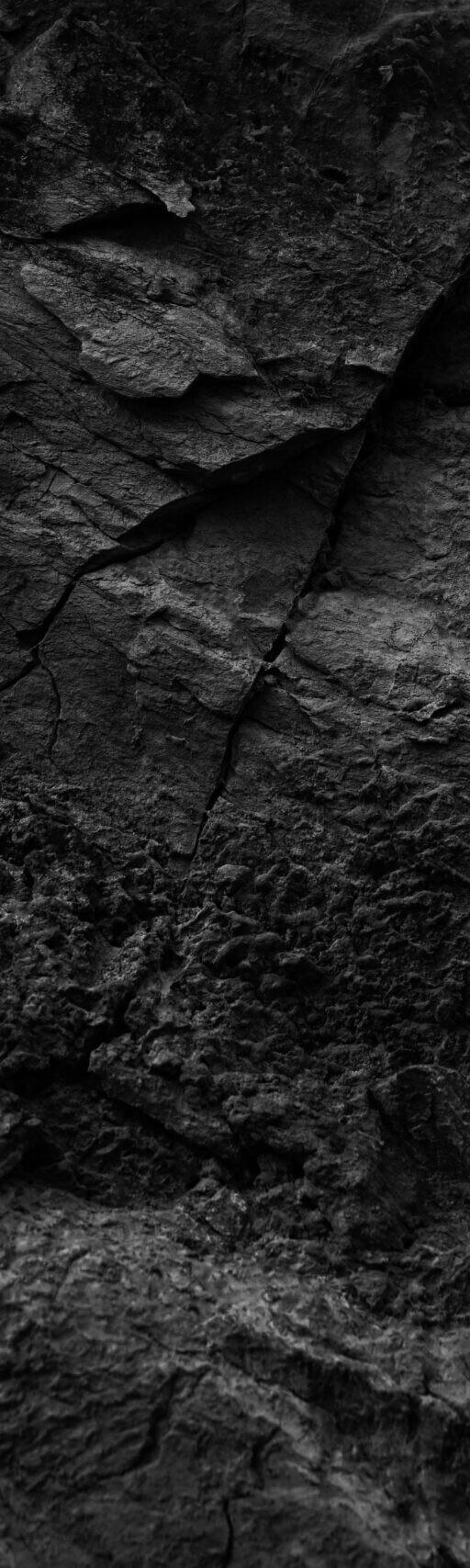 Port-Detroit-Coal